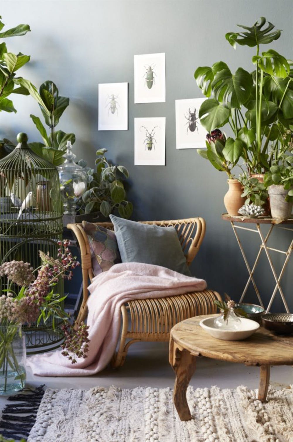 Urban Jungle | Design Inspiration | Decorating With Plants