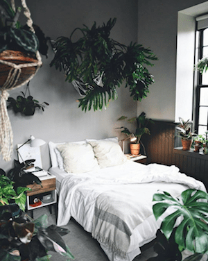 Urban Jungle | Design Inspiration | Decorating With Plants