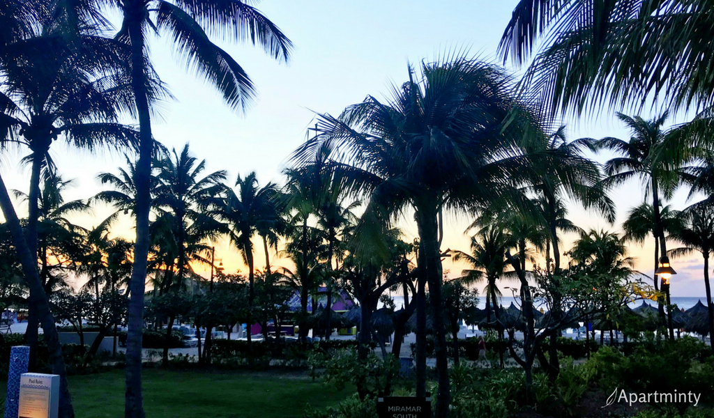 Travel Logs: Palm Beach, Aruba 5 Things to Know