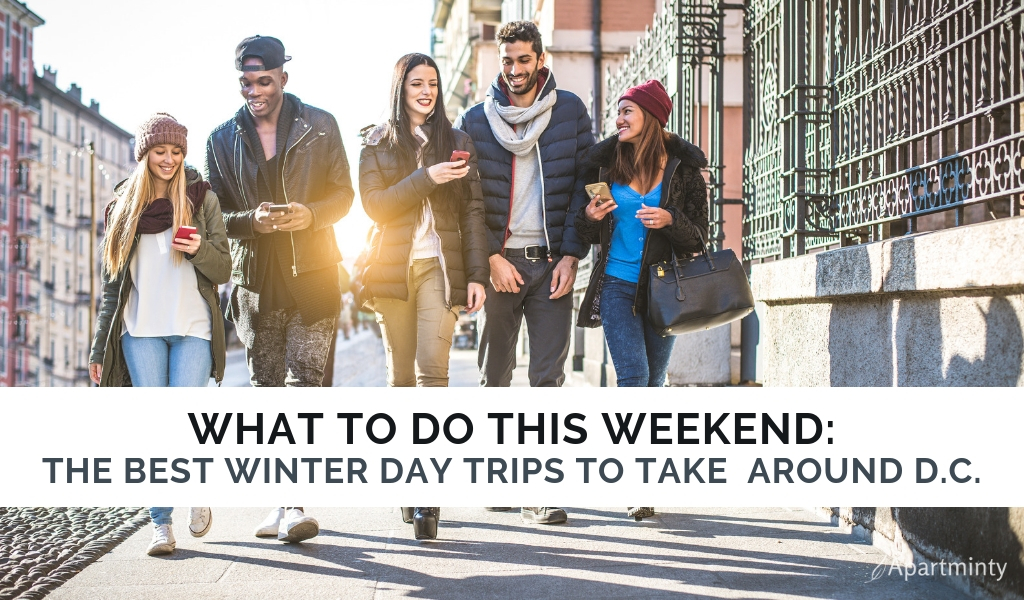 Winters in DC| Day trips from Washington, DC