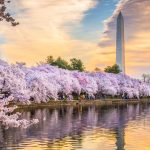 Can’t-Miss March Events in DC