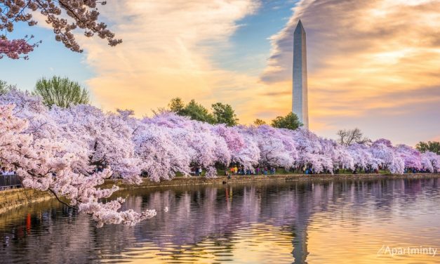 Can’t-Miss March Events in DC