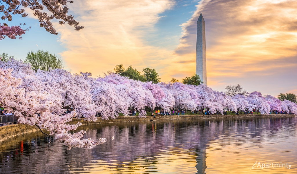 Can’t-Miss March Events in DC