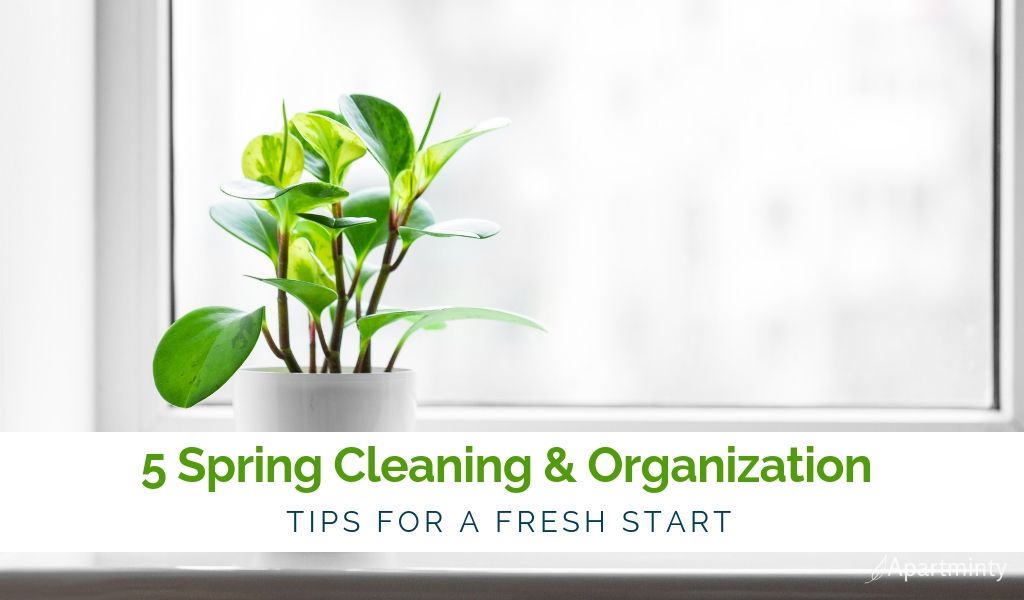 5-SPRING-CLEANING-TIPS-TO-ORGANIZE