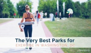 very-best-parks-for-exercise-in-washington-dc