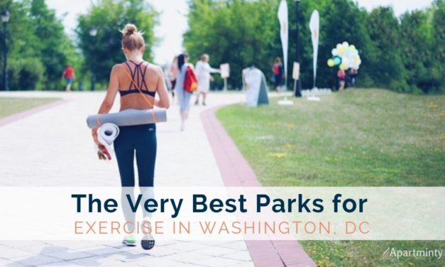 The Very Best Parks for Exercise in Washington, DC