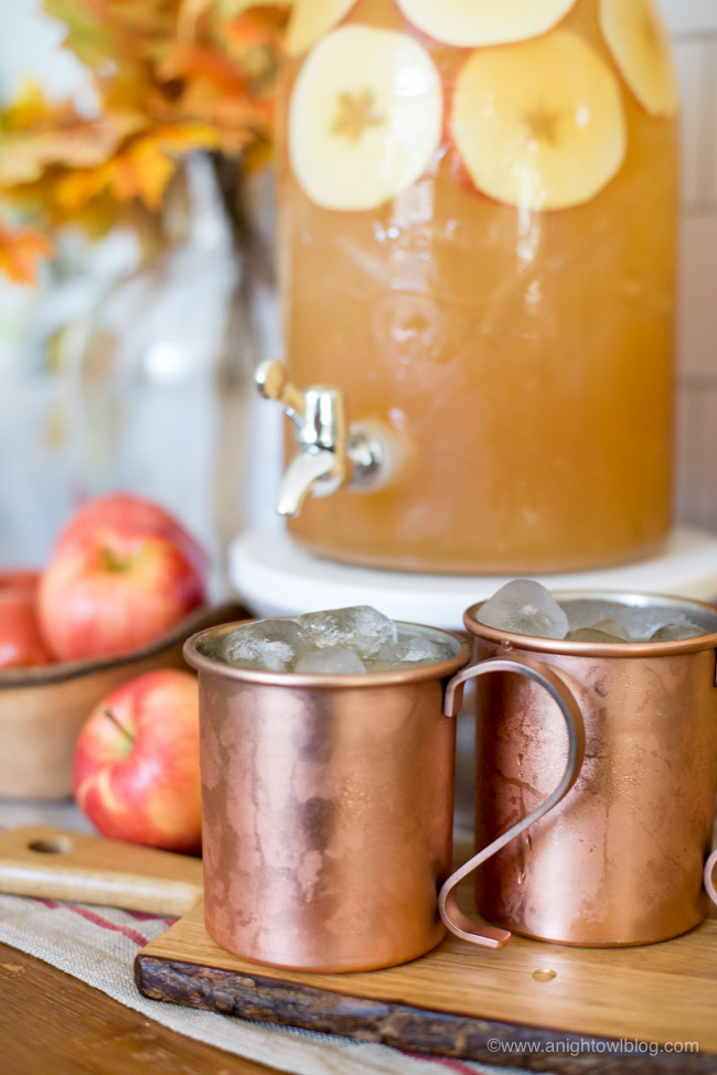 Spiced-Apple-Rum-Punch