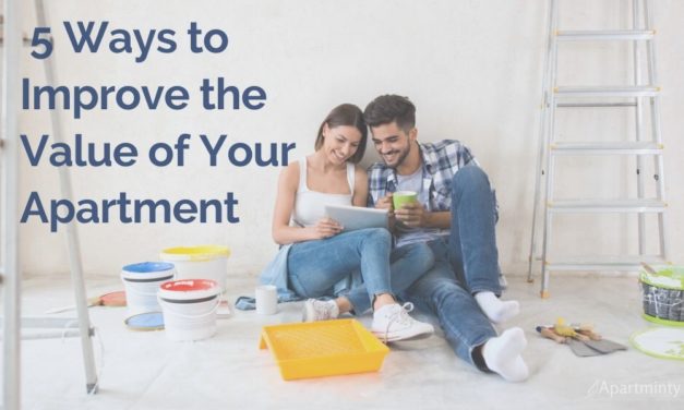Great Ways to Improve the Value of Your Apartment This Year