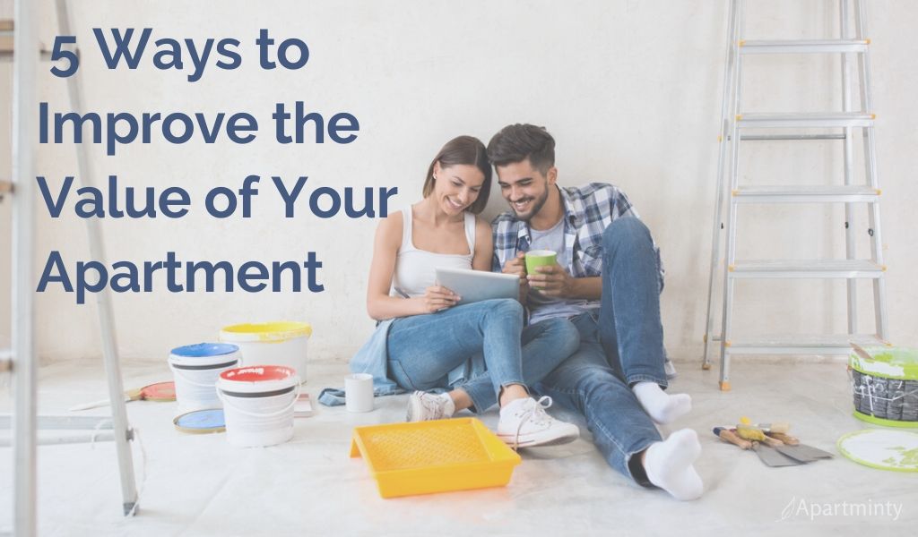 Great Ways to Improve the Value of Your Apartment This Year