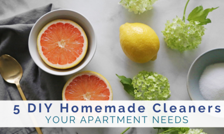 5 DIY Homemade Cleaners Your Apartment Needs