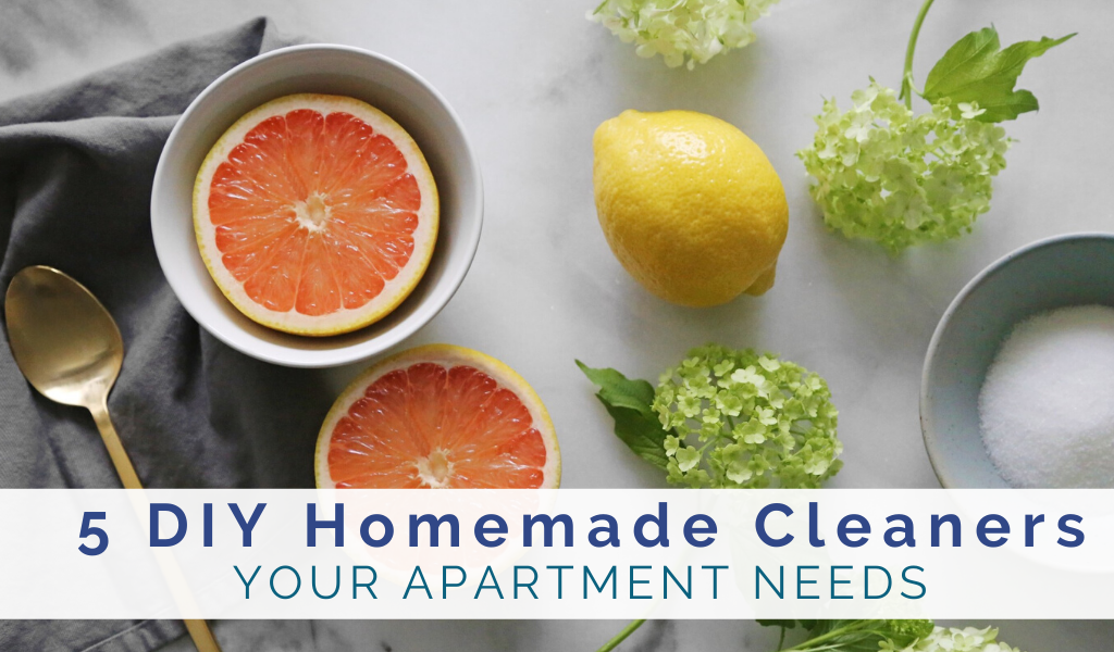 5-diy-homemade-cleaners-your-apartment-needs
