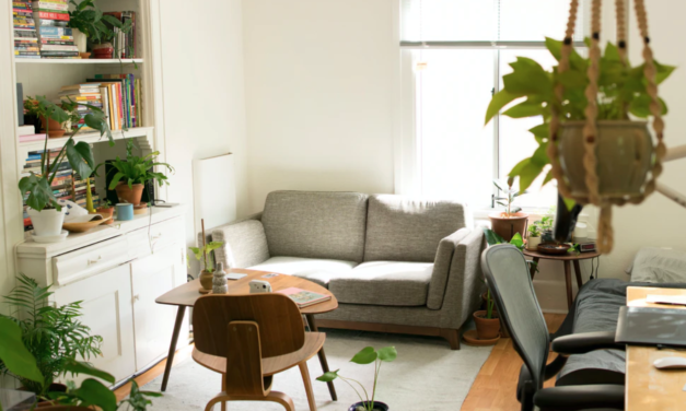 How to Make Your Apartment More Eco-Friendly