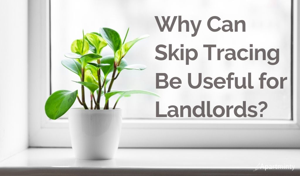 Why Can Skip Tracing Be Useful for Landlords?