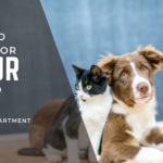 How to Care For Your Pet In Your Apartment
