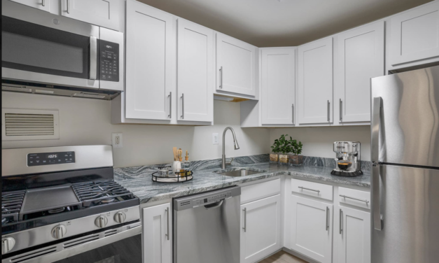 5 Reasons You Should Rent a One Bedroom Apartment At Congressional Towers
