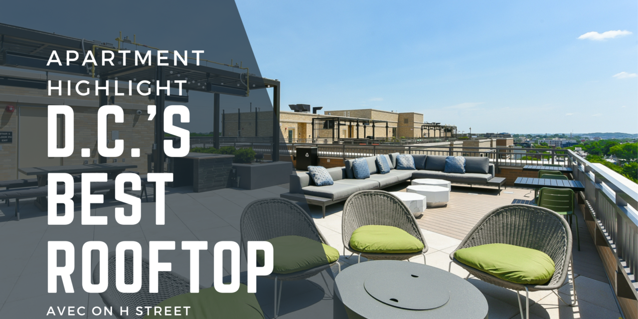 Apartment Highlight: The Best Rooftop in DC–Avec on H Street