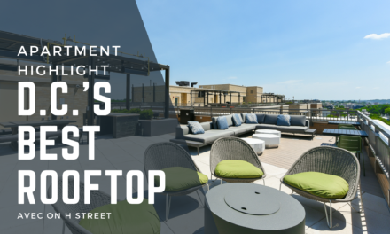 Apartment Highlight: The Best Rooftop in DC–Avec on H Street