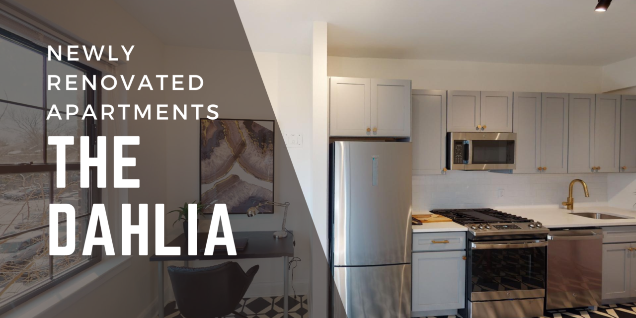 Newly Renovated Apartments Near Walter Reed: The Dahlia