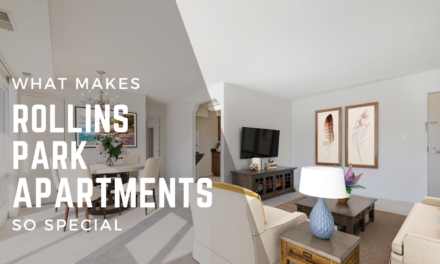 What Makes Rollins Park Apartments So Special